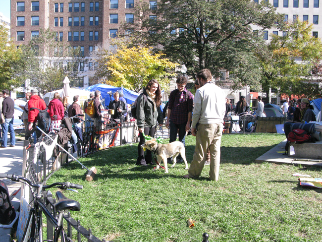 Occupy D.C. - McPherson Square