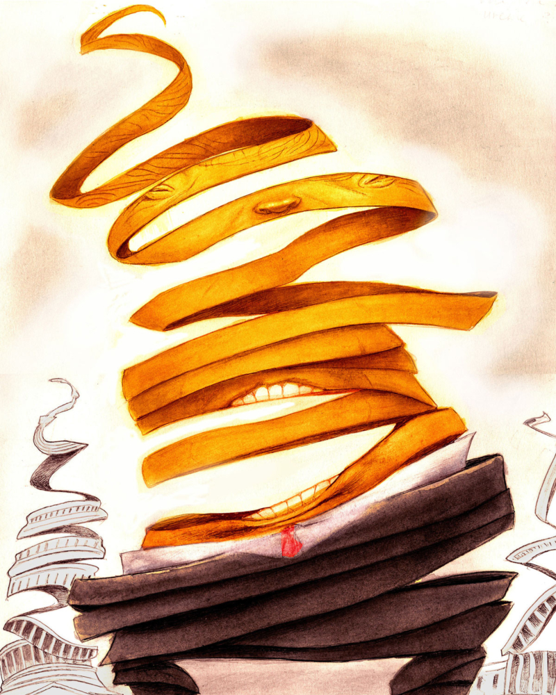 The Unraveling, The Nation